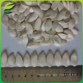 EU standard EUROFINS certified snow white pumpkin seeds